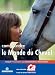 Comprendre le Cheval Comprendre le Cheval