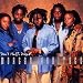 Don't Haffi Dread