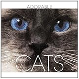 Adorable cats