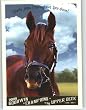 Smarty Jones - Race Horse - 2009 Upper Deck Goodwin Champions Baseball Card # 115 - MLB Trading Card Shipped In Protective Case!