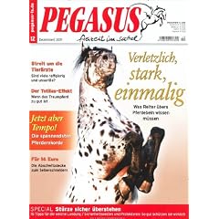 Pegasus - freizeit im sattel