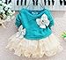 Baby Girls Dresses Long Sleeve Crochet Sweater Tops Lace Bowknot Tutu Clothing (12-18 Months, Blue)