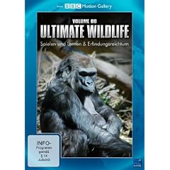 BBC Motion Gallery: Ultimate Wildlife Vol. 6: Spielen und Lernen & Erfindungsreichtum