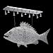 Nulco 249-FISH-42 Chrome with 30 Percent Lead Crystal Sonata Crystal Eight Light Down Lighting Large