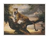 2 Cheetah Art Prints 8x10 Inches