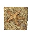 Starfish Stepping Stone and Wall Plaque
