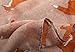 Sannea Lovely Fox Print Chiffon Scarves Scarf for Women/Girls