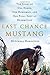 Last Chance Mustang: The Story of One Horse, One Horseman, and One Final Shot at Redemption