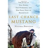 last chance mustang the story of one horse one horseman and one final shot at redemption