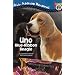 Uno: Blue-Ribbon Beagle (All Aboard Reading)