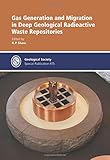 Gas generation and migration in deep geological radioactive waste repositories