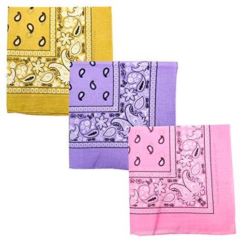 Paisley 3 piece Assorted Cotton Bandanas