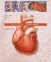 S.T.A.B.L.E. Cardiac Module: Recognition and Stabilization of Neonates with Severe CHD