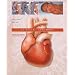 S.T.A.B.L.E. Cardiac Module: Recognition and Stabilization of Neonates with Severe CHD