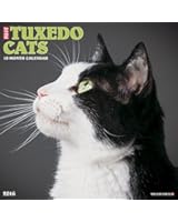 2016 Just Tuxedo Cats Wall Calendar