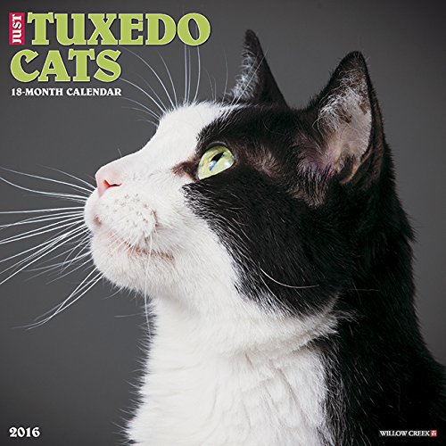 2016 Just Tuxedo Cats Wall Calendar