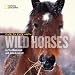 Face to Face With Wild Horses (Face to Face with Animals)