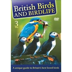 British Birds & Birdlife Box Set [3 DVD]