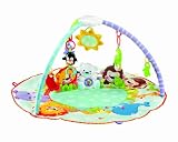 Fisher-Price Precious Planet All Around Musical Playtime Gym - Blue