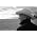 Vignette de Charles Aznavour