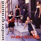 Imani Winds:Classical Undergro