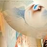 Image of album by Amorphous Androgynous