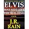 Mysterious Elvis and his Twins in Vegas