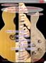 GUITAR DVD Total Scales Techniques and Applications