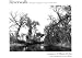 Riverwalk: Explorations Along the Cache LA Poudre River Riverwalk: Explorations Along the Cache LA Poudre River