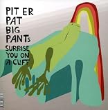 PIT ER PAT / ICY DEMONS SPLIT ( Vinyl ) - B000A2WG7S