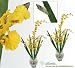 TWO 40" Dancing Orchid Artificial Flower Bendable Sprays with Iris Leaves