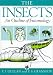 Insects : An Outline of Entomology