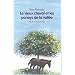 Le Vieux Cheval et les poneys de la vall�e