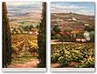 Cypress and Vineyard View Set by Rosa Chavez 36"x24" Art Print Poster