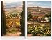 Cypress and Vineyard View Set by Rosa Chavez 36"x24" Art Print Poster