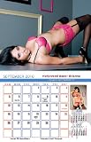 Hollywood Babes TV 2010 Girls in Swimsuit and Lingerie Wall Calendar Autographed by Brianna Nicole