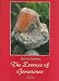 Book The Essence of Gemstones (Rocks, Minerals and Gemstones) (Rocks, Minerals and Gemstones)