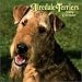 Airedale Terriers 2004 Calendar