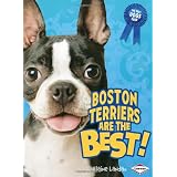 Boston Terriers Are the Best! (The Best Dogs Ever)