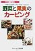 野菜と果実のカービング―手づくりのテーブル・デコレーション (シリーズ・食彩生活)