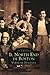 IL  North End di Boston (Versione Italiana)  (MA)  (Images of America)