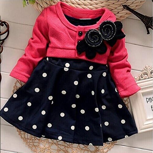 Baby Girls Princess Flower Dot Antinode One Piece Dress