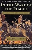 In The Wake Of The Plague: The Black Death And The World It Made