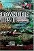 Books : Brownfield Sites II: Assessment, Rehabilitation and Development (v. 2)