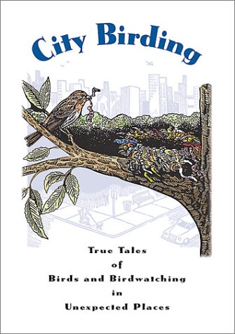 Birding