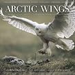 Arctic Wings: Birds of the Arctic National Wildlife Refuge [With CD]