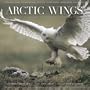 Arctic Wings: Birds of the Arctic National Wildlife Refuge [With CD]