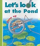 Lets look at the pond : close- up