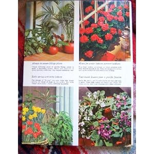 Frederick E. Dodson - Levels of Energy  - Better Homes