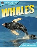 Animal Lives: Whales (Animal Lives)